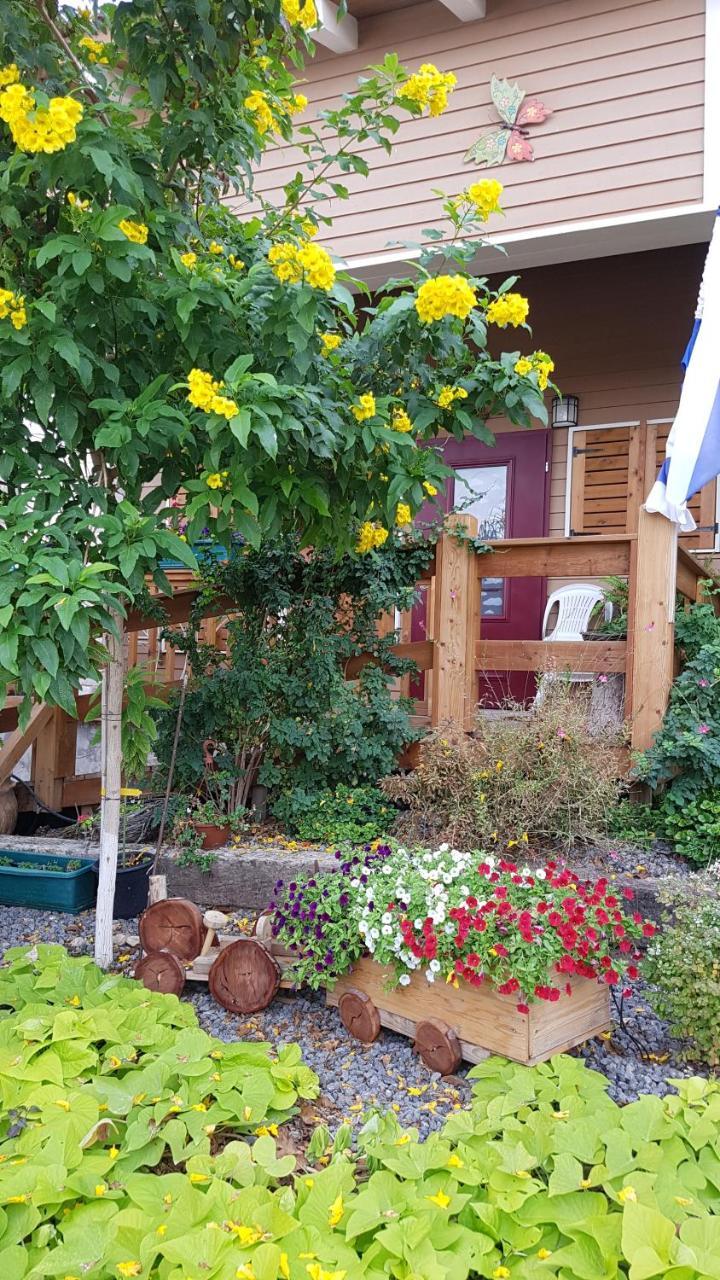 Вилла The Butterflies Wood House Reshafim Экстерьер фото